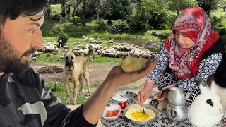 HANIM ANNE'DEN DAĞDA KOYUN PEYNİRLİ YUMURTALI KAHVALTI / ÖRDEK YAVRULARI ÇIKMAYA BAŞLADI / KANGALLAR