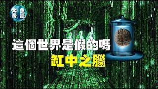 我們認為的真實是否都是假的，你到底是你自己還是“缸中之腦”呢