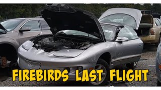 Junkyard Adventures! The 1998 Pontiac Firebird 3800 V6. Why is this thing here?!?!