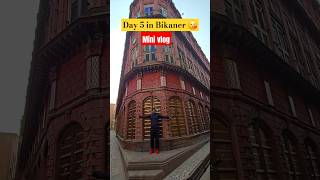 Day 5 in Bikaner 😍 | Mini Vlog #shorts #rizwanali #viralshorts #ytshortsindia