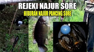 NAJUR PANCING #HIBURAN SORE HARI