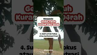 Waspada gejala tubuh kurang gula d4rah #shortvideo