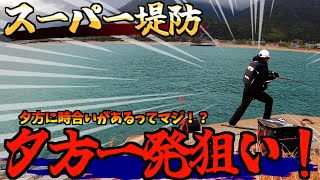 【三重県・某堤防横】デカグレが釣れる場所で夕方一発狙いしたらマジでキタ！！！！！