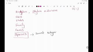 Taxonomic categories