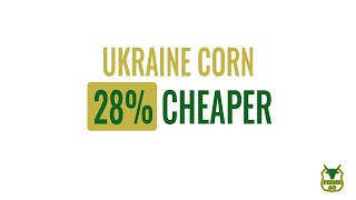 How expensive is US Corn? | Ukraine 28% cheaper