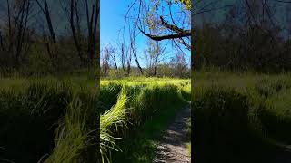 Spiral path in nature park #nature #greenadventure #lake #park