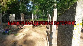 ЗДЕСЬ БЫЛО 220 ХАТ И СПИРТЗАВОД! МЁРТВАЯ ДЕРЕВНЯ ЗАГОРЯНЕ ВИТЕБСКАЯ ОБЛАСТЬ БЕЛАРУСЬ