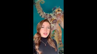 Stop World's 1st Octopus Farm 🐙