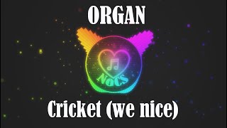 ORGAN - Cricket (we nice)