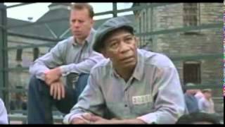 The Shawshank Redemption - I do believe you are talking out of your ass.