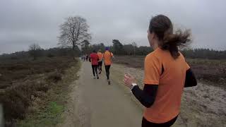 Codac Zwolse bosloop heerde 2018