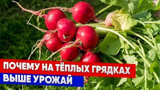 Почему на тёплых грядках выше урожай