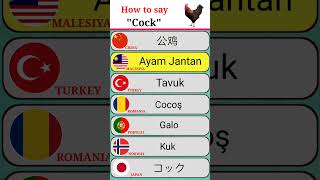 How to say COCK in different languages with Voice