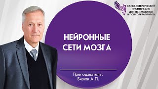 Нейронные сети мозга