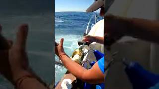 Picadon!!!!😱😱😱🎣🎣"LA NEGRA"truco para que nunca te vacien el carrete(video completo en el canal)