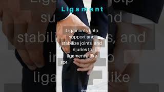 Ligament │ Selected medical terminology │ #medicalterminology #ligament  #short