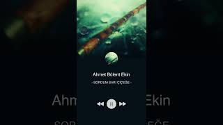 Ahmet Bülent Ekin - Sordum Sarı Çiçeğe #shorts #ney #neyzen