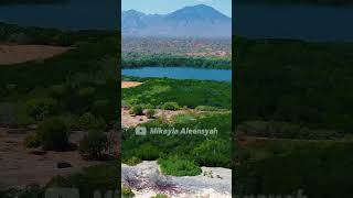 Pantai sijile #exploresitubondo #wisatasitubondo #situbondo #pantaibiliksijile #dji #djimini2 #drone