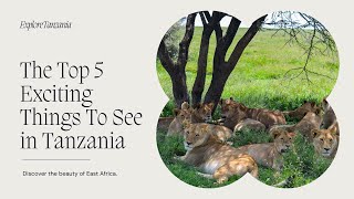 The Top 5 Exciting Things To See In Tanzania