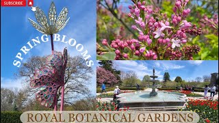 Cherry Blossoms in Canada | Royal Botanical Gardens in Ontario #cherryblossom #botanicalgarden