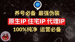 2024年最新住宅ip推荐|高质量原生ip动态静态ip住宅ip购买|如何购买搭建住宅ip？住宅ip中转|跨境电商海外项目运营必备的住宅代理ip搭建设置