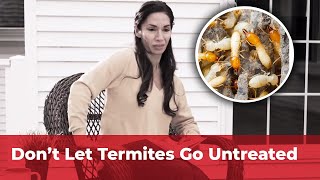 Don't Let Termites Go Untreated - Contact Viking Pest Control. Plus 2 Tips For Termite Prevention!