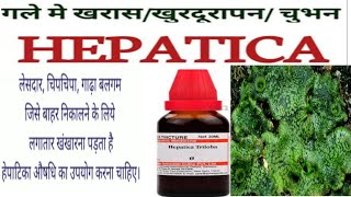 Hepatica Triloba Homoeopathic Medicine //Best Medicine For Throat & Lungs Infection//HM4U Roorkee.