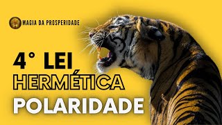 4º Lei Universal - Polaridade