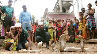 कैमरे में कैद हुआ नाग नागिन का रोमांचक प्रेमालाप,भारी भीड़ के बीच किए गए रेस्क्यू।Cobra snake mating