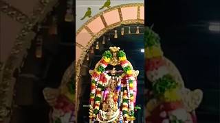 SriVilliPuttur Pancha Garudotsavam #shorts