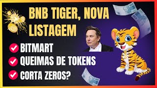 BOMBA!! BNB TIGER INU LISTAGEM DE PESO ACONTECENDO,PODE BUSCAR SUA ATH!! VAI FICAR DE FORA? VEJA