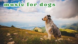 Holistic Soothing Sounds for Scared Pets: Calming Music to Relax Cats & Dogs