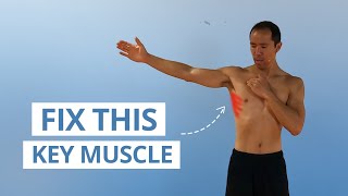 5 Unique Serratus Anterior Exercises for Strong & Stable Shoulders