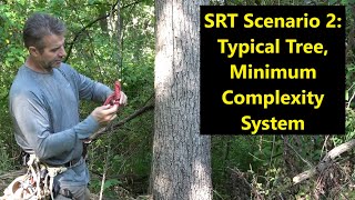 SRT #2: Typical Tree, Minimum Complexity System