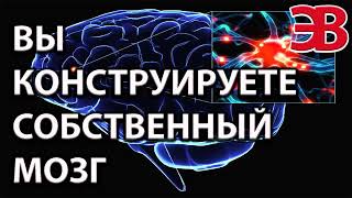 Вы Сами Формируете Свой Мозг=Почему так важен сон (Важно!!!)