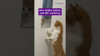 Kurang greget latihannya 😿 #viral #trending #fyp #meme #kucing #lucu #kucingoyen #mc #skillsid