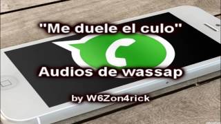 Me Duele el Culo - Audios de Wassap