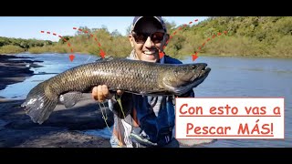 Consejos para pescar tarariras tornasol. Pesca Tarariras Uruguay