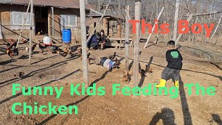 Funny Video The Chicken Boys  Feeding The Chicken/me Nyuam Tub Hmoob Pub Qaib Lom Zem Tiag2