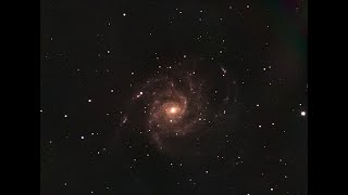 M101 Supernova Livestream!