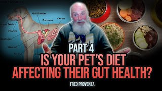 Animal Nutrition Royalty - Part 4: How to Boost Your Pet’s Gut Health | Fred Provenza