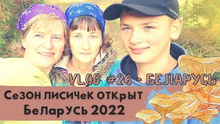 Открыли Сезон Лисичек! Беларусь 2022