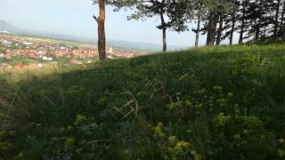 Rezervația Naturală, Lempes din Jud.Brasov