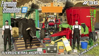 SELLING BROWN SWISS BULLS & FEEDING ALL ANIMALS | Tyrolean Alps | Farming Simulator 22 | Episode 36