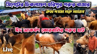 কম দামে সিলেটের বিশাল কোরবানি পশুর হাট | চিকনাগুল হরিপুর গরুর হাট বাজার। Sylhet Horipur Gorur Haat