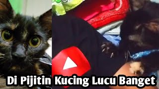 DI PIJITIN KUCING LUCU - CAT MASSAGE