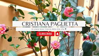 Live streaming di Cristiana Paglietta