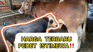 STOK FULL HARGA GROSIR & TANPA CALO‼️PERBEDAAN SAPI KELAS ISTIMEWA DAN SUPER‼️