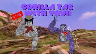 🔴Gorilla Tag LIVE code with you guys!🔴Join up for minigames, mods, and more!