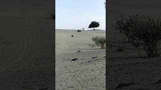 Desert Safari at white Desert Sindh #trending #viral #shorts